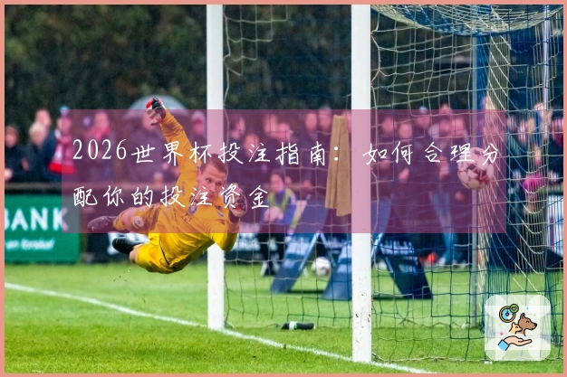 2026世界杯投注指南：如何合理分配你的投注资金