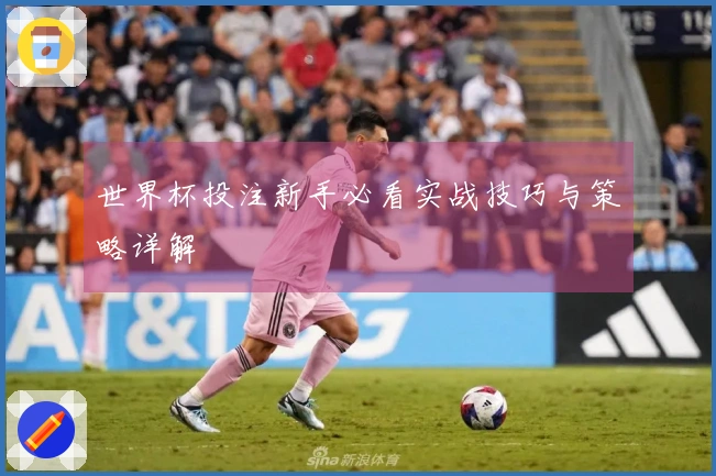 世界杯投注新手必看实战技巧与策略详解