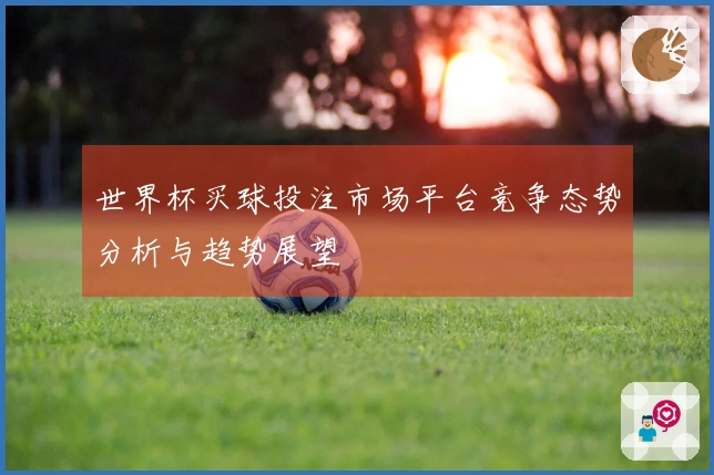世界杯买球投注市场平台竞争态势分析与趋势展望