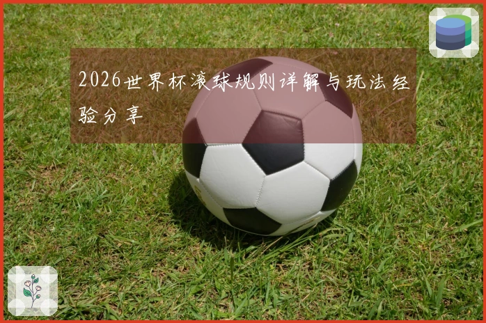 2026世界杯滚球规则详解与玩法经验分享